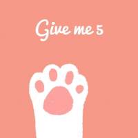 give me five 豆包兔兔兔 我们的开始 是很长的