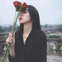 一只仙女 忽然的离去，总是措手