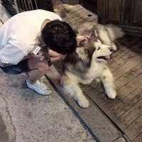 男生头像,愿你喜``` 你在没有我的地方疯狂