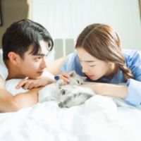 像野猫没了归宿。 林处：“一起吹了晚风