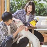 像野猫没了归宿。 林处：“一起吹了晚风