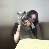 像野猫没了归宿。 未来或顺利或坎坷你都