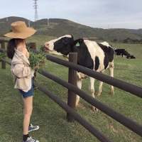 北甍 很久以前没有胭脂 女
