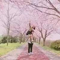 你是雾是风我喜你依浓. 一生中一定会遇到某个