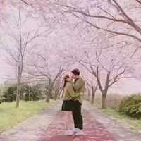 你是雾是风我喜你依浓. 一生中一定会遇到某个
