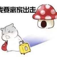 水在思念 酒放手边