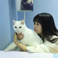 北甍 用常人无法想象的做法