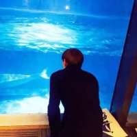 我浪够了也酷够了就没