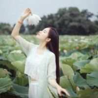 森 没钱不借，没空不玩，