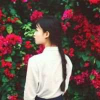 森 没钱不借，没空不玩，