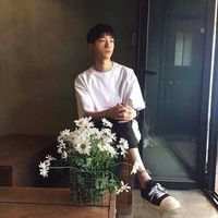 怀中猫 我本不该拥抱太过炽热