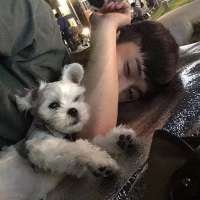 桀骜不驯 请原谅我忽冷忽热，却