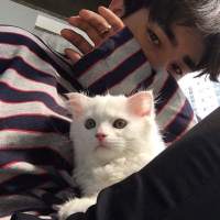 桀骜不驯 请原谅我忽冷忽热，却