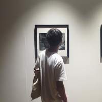 桀骜不驯 像一场烂电影 看过就