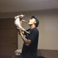 桀骜不驯 像一场烂电影 看过就