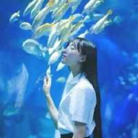 女头 你在我心上，又退我万