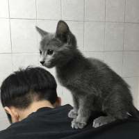 离人怎挽。 唯求与他共搭未来的列
