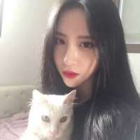 怀中抱软猫. 总不能还没努力就向生