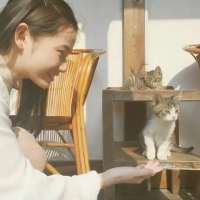 怀中抱软猫. 海底月是天上月，眼前