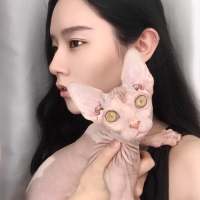 killer：少女的羞涩 毕竟没有那么强 所有