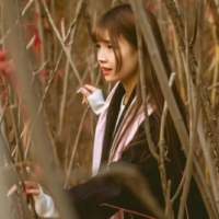 遇见你，不再朝朝暮暮