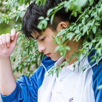 何以谓风尘 如果不能钟情于一人，