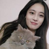 道歉不行，你得自杀 不知道从什么时候开始