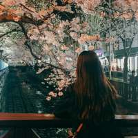 你非我良人怎知我情深 小女子不才，没能一嘴