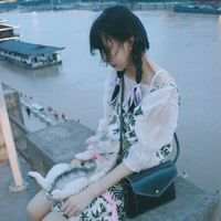 玫瑰与猫 若你早与他人两心同，