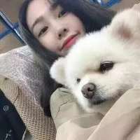 最好的情侣状态大概就