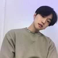 玫瑰与猫 在我们的人生里，不可