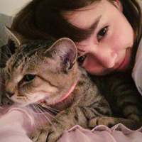 一生所爱. 雪花猛烈地抽打的孤枝