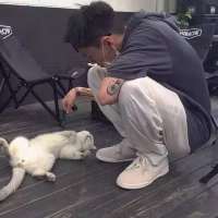 Mr.Cat 春天的早晨是温馨的，