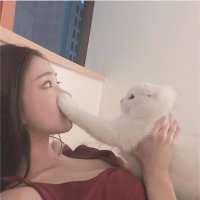 命运它又何时心疼过我们 爱一个不爱自己的人真