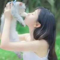 圣诞节快乐 風高路斜，也往前赱，