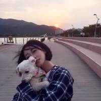 少女心赠与你 墙身的裂痕，脱落的斑