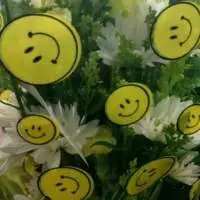 笑脸.喜欢给花. 好像下一秒天就要塌下