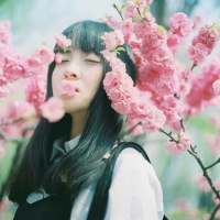 婪瘾。 ㄟ 流年离乱了浮生，
