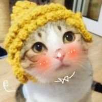 可爱死了的小猫咪 命裏有時終須有。命裏