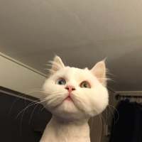 搬运.凭什么我们要错过. 我爱你与你无关因为不