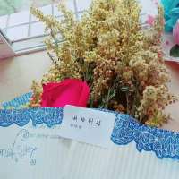 不要抱太大的希望毕竟他不会陪你到死 可惜我明白的太晚，以