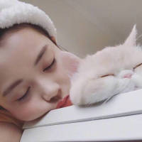 就散了吧 拉拉扯扯终究是没完没了