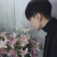 婪瘾。 他们都笑我，爱错了人