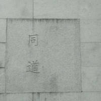 体温 秋来艳红已逝去　冬至