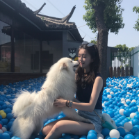我会拼命挣钱 买小房子 养猫养狗养情人 And someti