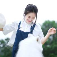 温柔乡 生活就象心电图，如果