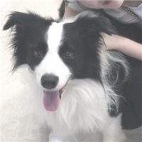 夺取 婚姻里的爱情更多的是