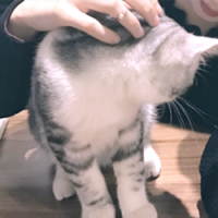 惹祸上身 这些年都有一种感情“