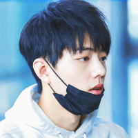 惹祸上身 你要是鲜花，以后牛都