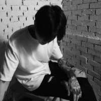 愿此间 山有木兮卿有意 昨夜星辰恰似你 你可以跟我吵架，跟我